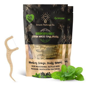 Biodegradable Dental Floss Picks 100 Count 2 Packs | Eco-Friendly Bamboo Like Straw Wheat Sustainable Mint Flavored Flossers for Kids and Adult Teeth Cleaning for The Enviromentally Conscious