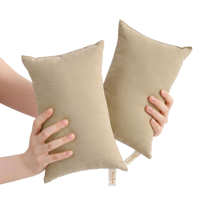 BEDSUM 2 Pack Tiny Pillows, 11