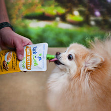 BarkWell Peanut Butter Squeeze - All-Natural Dog Peanut Butter Dog Treat 3 Pack (24 oz) Sourced Made in The USA Plus Free Orange Lick Mat. Peanut Butter, Sweet Potato and Apple. 100% Natural