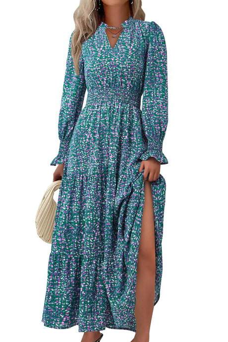 PRETTYGARDEN Women's Floral Maxi Dress 2025 Spring Long Sleeve V Neck Casual A Line Long Flowy Boho Party Dresses (Floral Purple Green,Medium)